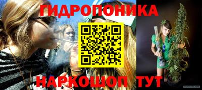 крисы Канаш