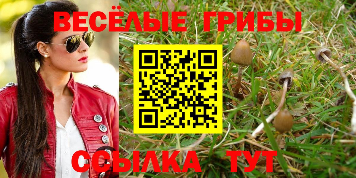 Галлюциногенные грибы MAGIC MUSHROOMS  Псилоцибиновые грибы ЛСД  Вход с VPN  Кропоткин 