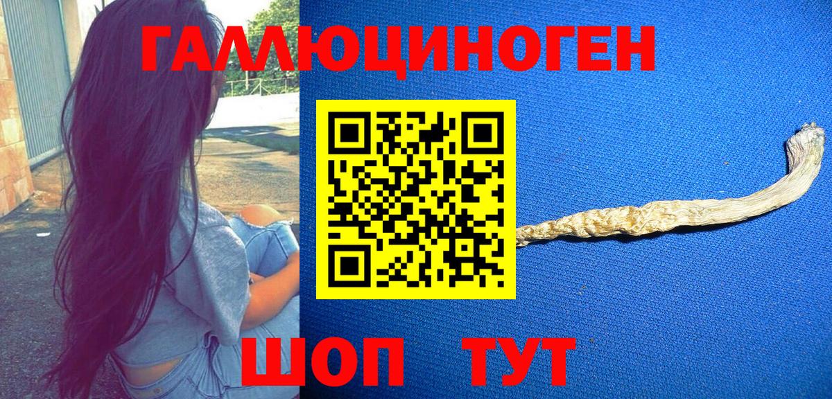 Галлюциногенные грибы мухоморы Кропоткин